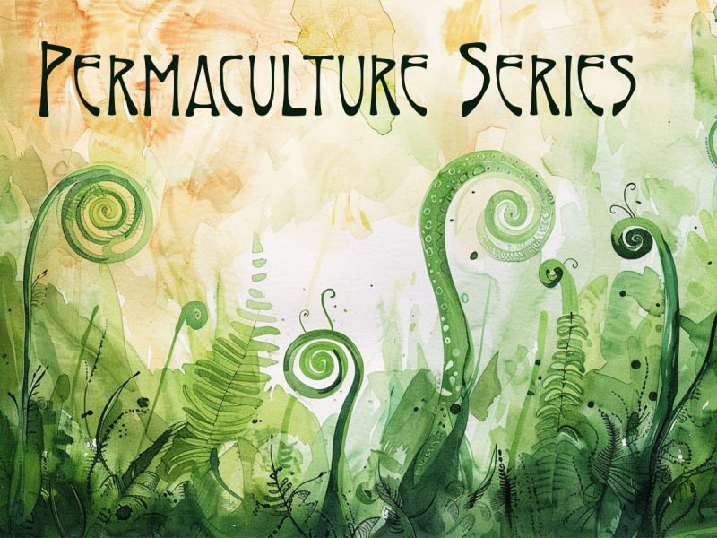 Permaculture Series