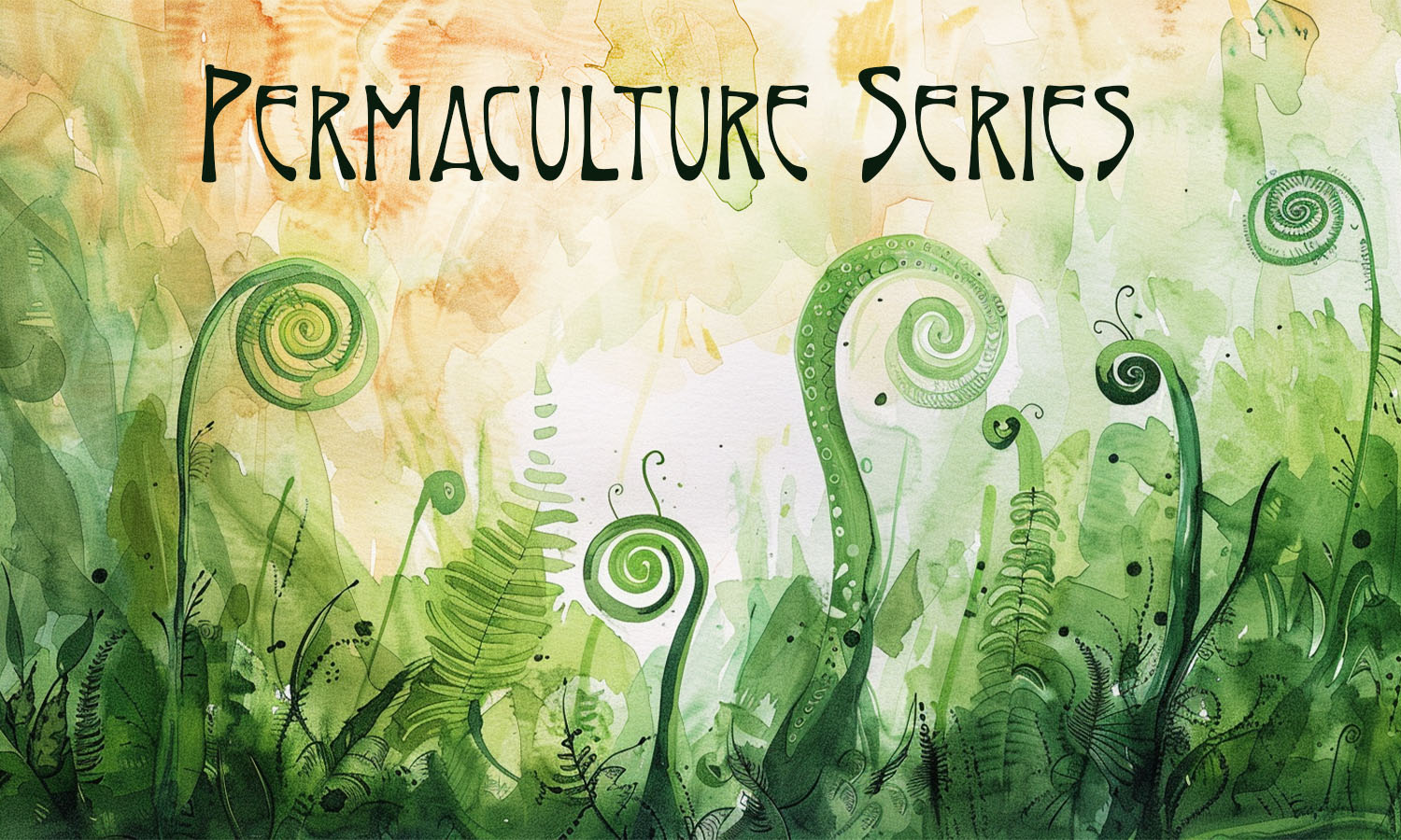 Permaculture Series: Introduction